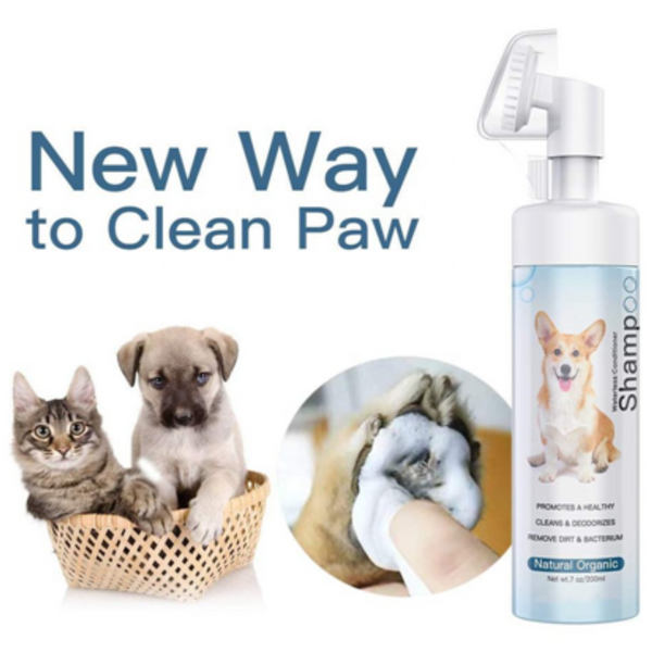 Cleaning Paw Foam Care